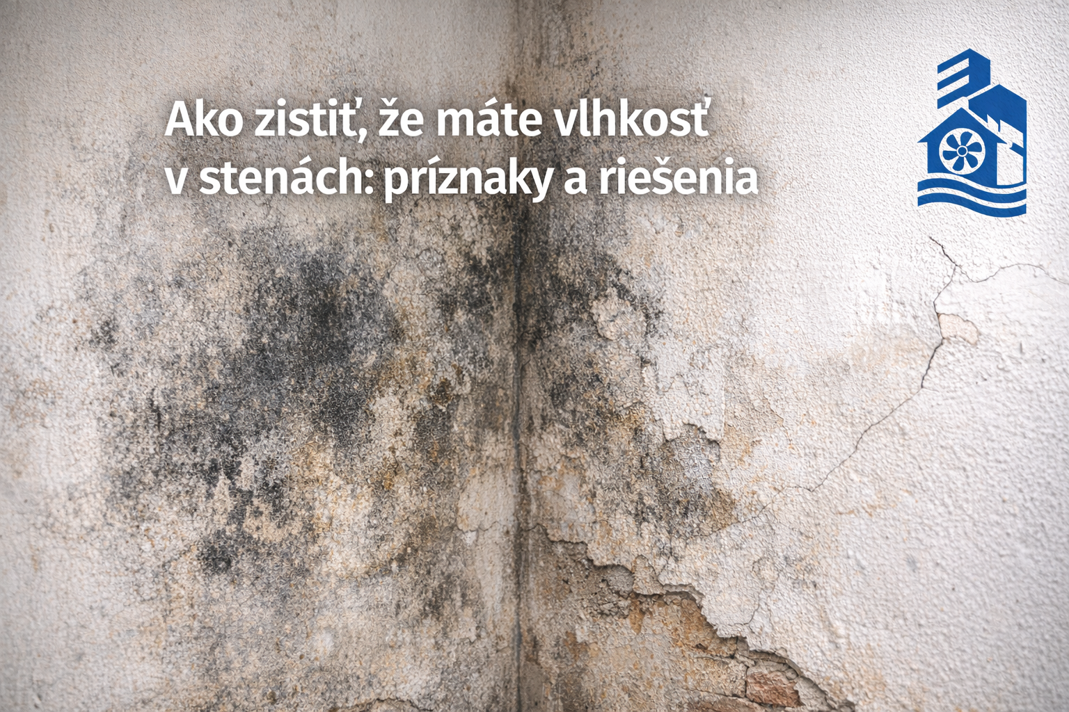 Ako zistiť vlhkosť v stenách – BOKRA vysúšanie