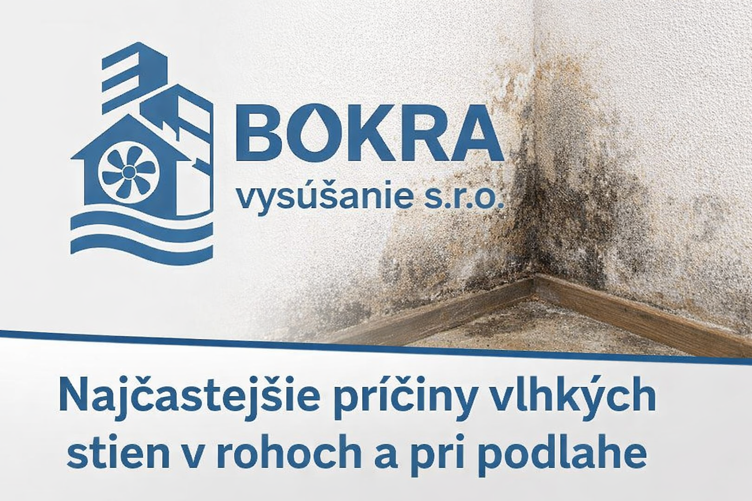 Logo BOKRA vysúšanie s názvom článku o príčinách vlhkých stien